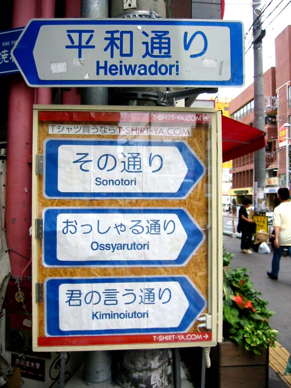今週の一枚
