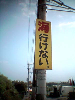 今週の一枚